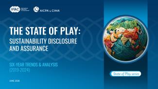 IFAC-State-of-Play-Sustainability-Disclosure-Assurance-2019-2024.pdf