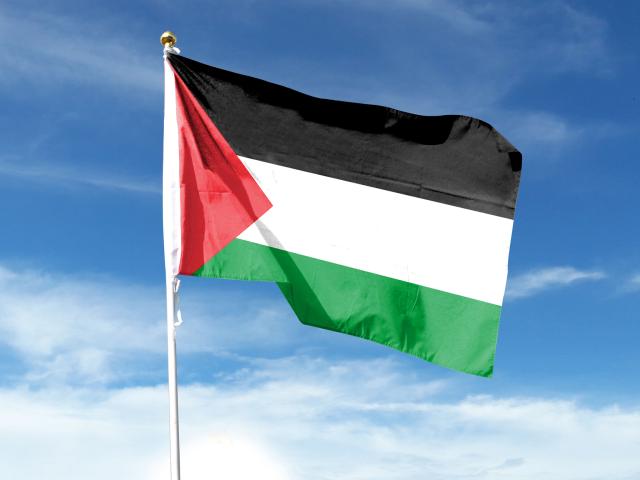 Palestinian Flag