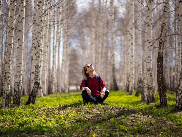 Person sitting on forest floor