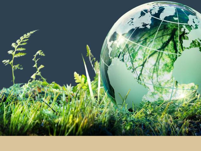 IESBA Sustainability Hero 0125a