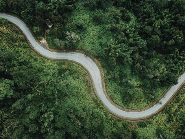 Winding road through a forest