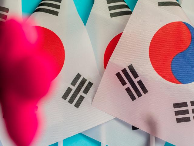 South Korean flags with flower blossoms in foreground