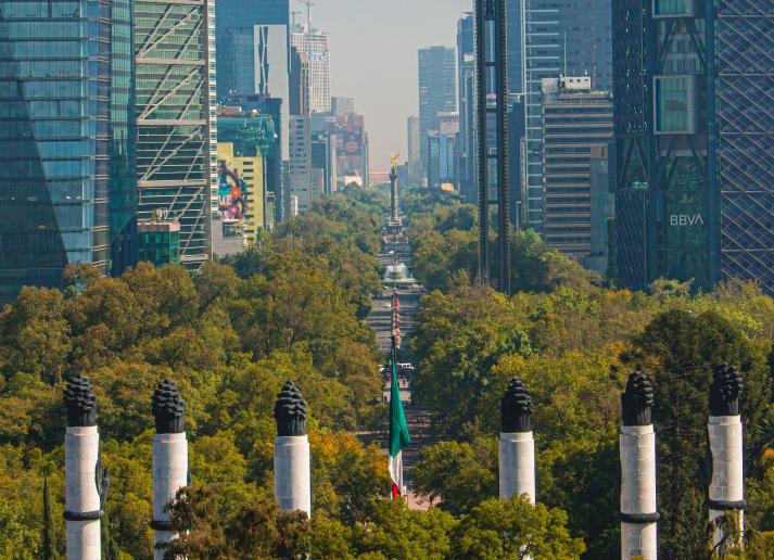 Mexico City avenue