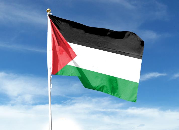 Palestinian Flag