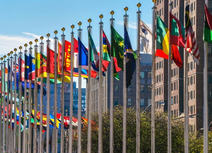 UN Front Entrance with Flags