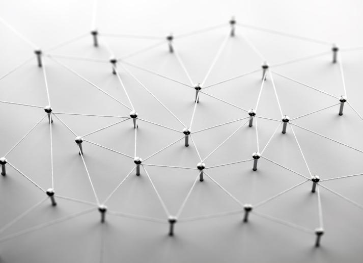 An interconnected web of metal wire anchored to small screws