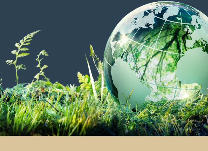 IESBA Sustainability Hero 0125a