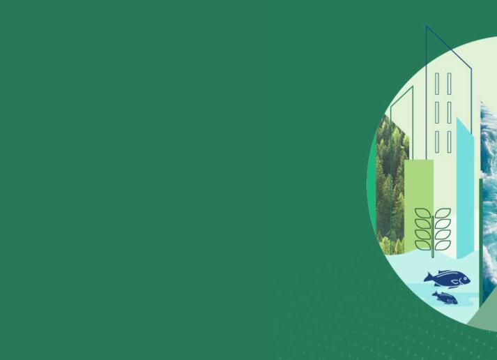 Banner with an illustration of nature