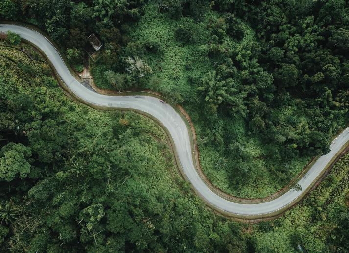 Winding road through a forest