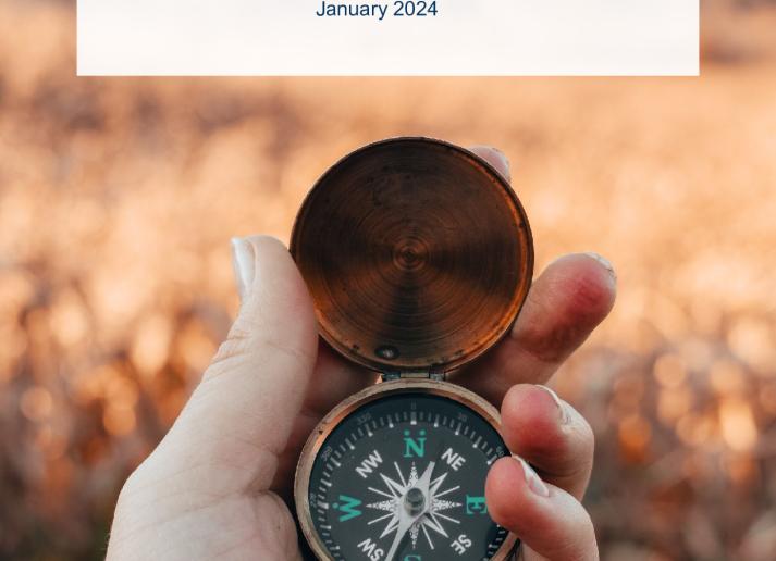 2024-IPSASB-Feedback-Statement-Differential-Reporting_0.pdf