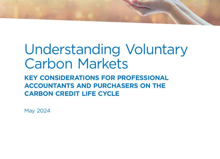 24-3463 - Carbon Credit Research_EN_final_AD.pdf