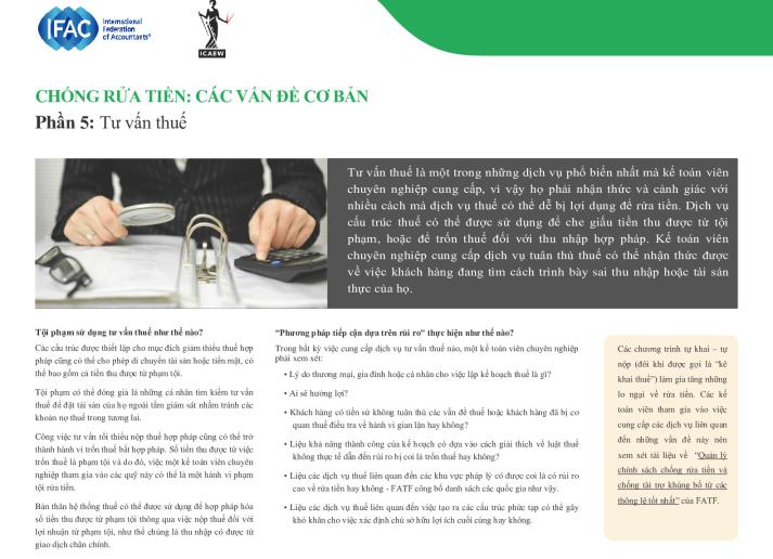 AML 5_Tax-Advice_Viet_Secure.pdf