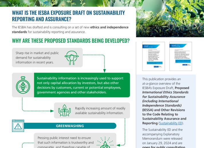 FINAL - IESBA Sustainability Standards  - Executive Summary.pdf