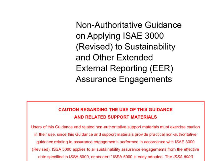 IAASB-Guidance-Extended-External-Reporting.pdf