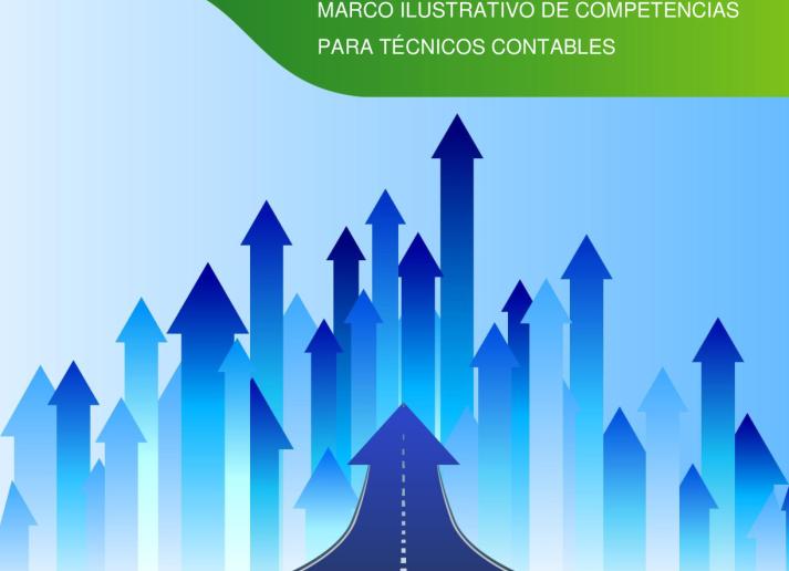 IFAC-AAT Guide_Illustrative Competency Framework_ES_Secure.pdf