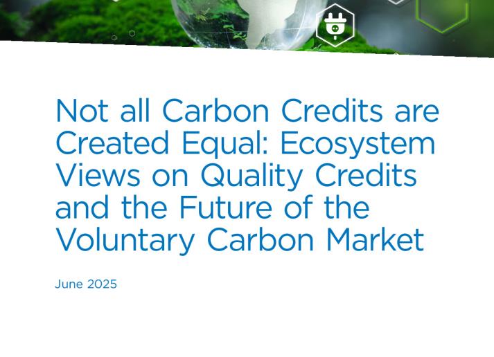 IFAC-CPACanada-VCM3_EN.pdf