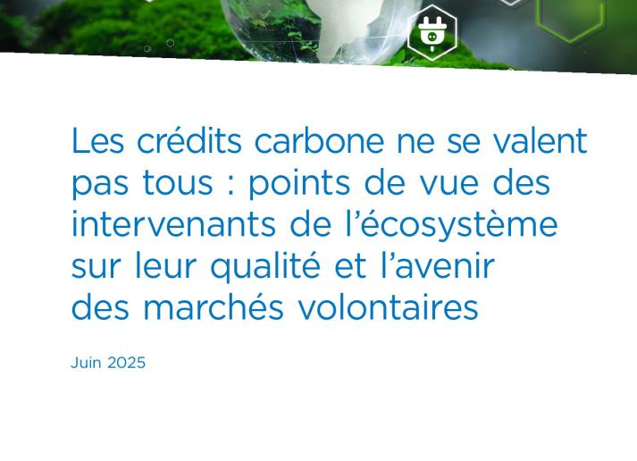 IFAC-CPACanada-VCM3_FR.pdf