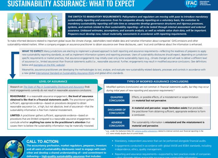 IFAC-Sustainability-Assurance-What-Expect.pdf