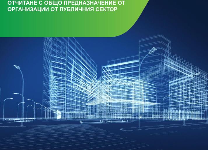 IPSASB_Conceptual Framework_Public Sector_BG_Secure.pdf