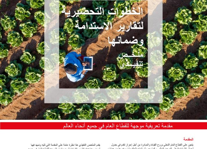 PI-PS-SUSTAINABILITY-SUMMARY-Arabic_0.pdf