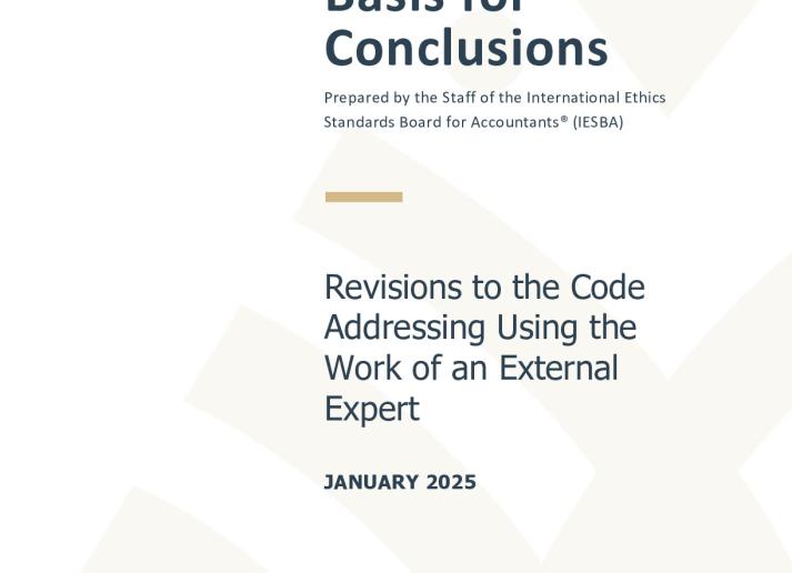 Using the Work of an External Expert - Basis for Conclusions.pdf