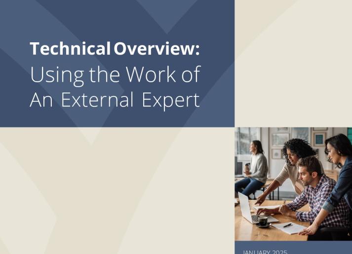 Using the Work of an External Expert Technical Overview.pdf