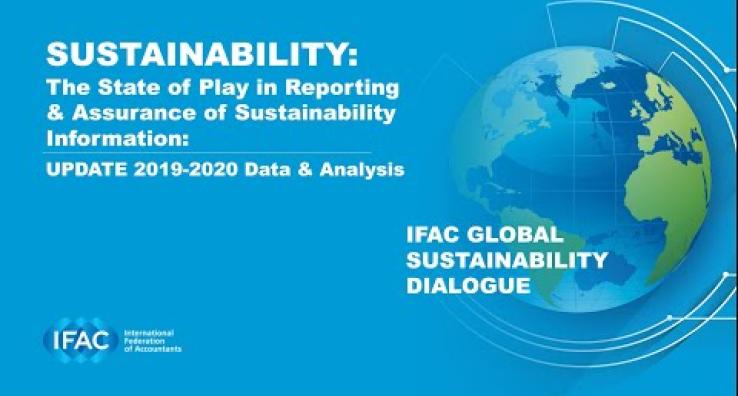 The State of Play: Sustainability Disclosure & Assurance 2019-2021