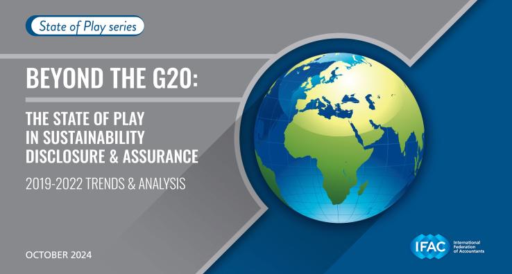 IFAC-State-Play-Sustainability-Beyond-G20.pdf