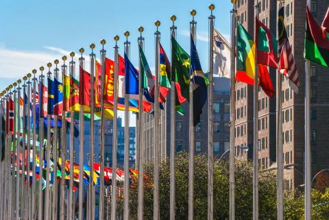 UN Front Entrance with Flags