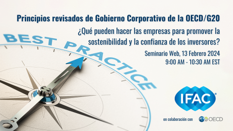Revised OECD principles banner (spanish)