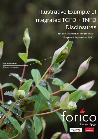 Cover page of Forico's report, which has green leaves