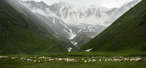 mountains
