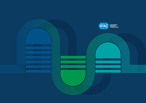 PAO Strategy Planning Toolkit header