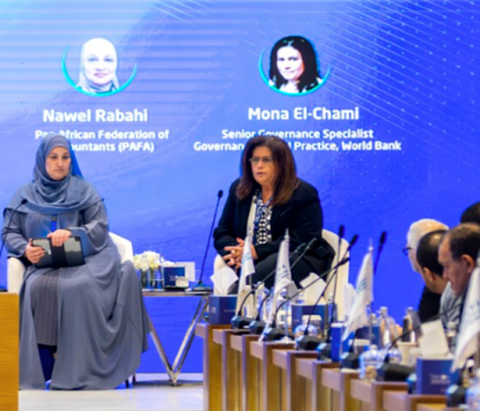 Mona El-Chami speaking at panel at MENA Connect 2025