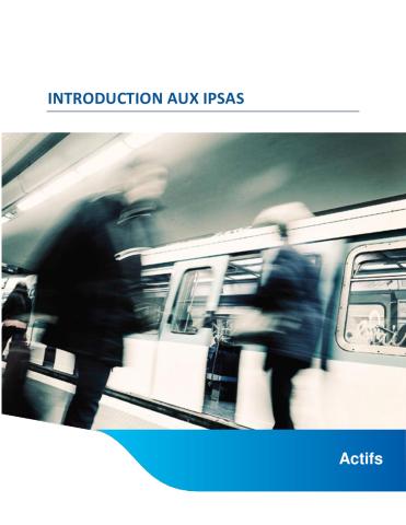 Introduction aux IPSAS, Module 2 – Actifs | IFAC