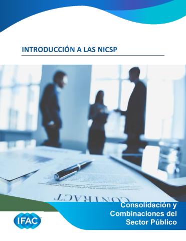 07 - Introducción a las NICSP 'Consolidación'.pdf