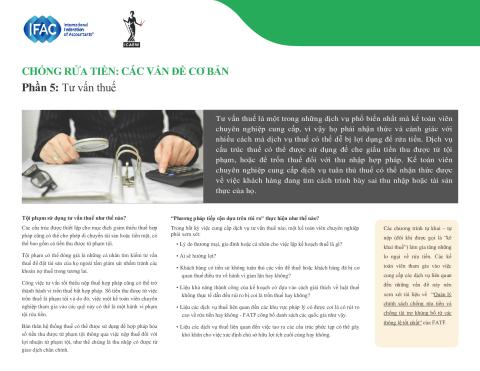 AML 5_Tax-Advice_Viet_Secure.pdf