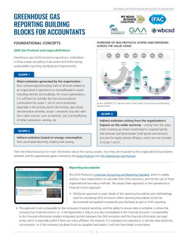 IFAC-GHG Emissions Reporting Building Blocks-V7.pdf