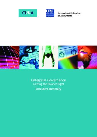 Enterprise Governance: Getting the Balance Right, Executive