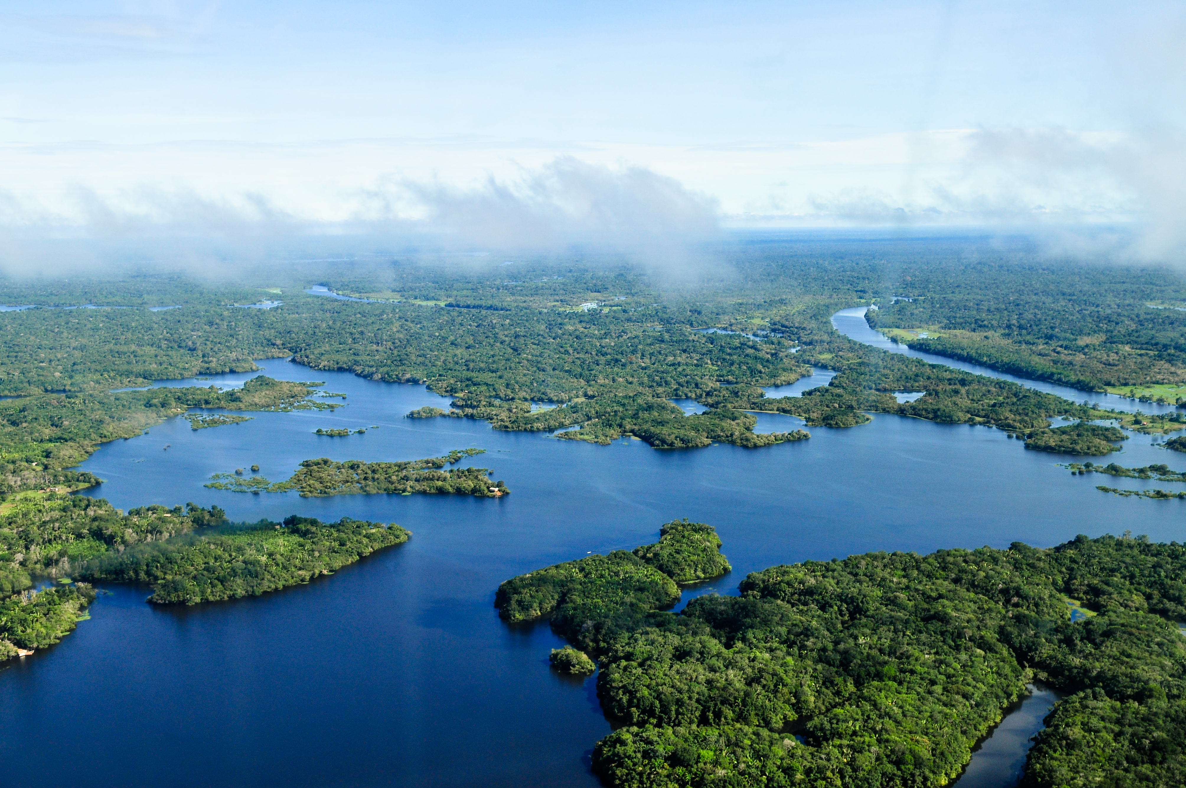 Самая полноводная река бразилии. Река Амазонка в Бразилии. Бразилия крупные реки Амазонка. Река Амазонка в Колумбии. Амазонская Сельва Бразилии.